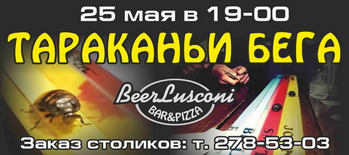 «Тараканьи бега» в баре «BeerLusconi»